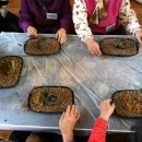 금평경로당 이미지