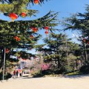 신유장군 유적 | 군산항 산동크루즈 7-8월 특급휴가여행 5성 천목 중국 1등온천 화하성 국가5A급관광지&amp;버라이어티쇼관람...