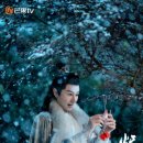 성우상사