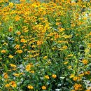 (주)자연투어 이미지