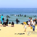 양양군 야구장 이미지