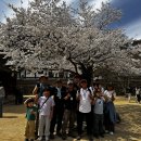 송림욕장 진입도로 | 공주 태화산 등산 코스 후기: 마곡사부터 활인봉·나발봉까지, 봄에 걷기 좋은 힐링 산행