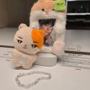 팬비즈여행사