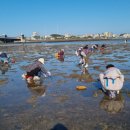 제주곶자왈별장 이미지