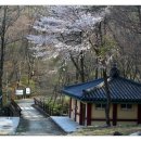 치인야영장 화장실 이미지