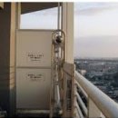 비둘기한국@ 이미지