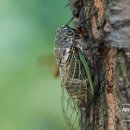 키즈하우스 이미지