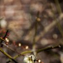 금호동주민센터 이미지