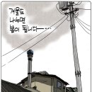 시사 만평(11월 19일)| 이미지