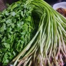 한국관나이트 이미지