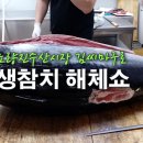 마구로 Daum카페