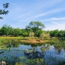 한밭수목원 이미지