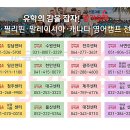 미래유학연수 이미지