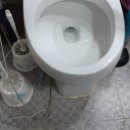 씨유 포항청림진달래점 | 청림동 청림진달래 아파트 변기막혀 물이 넘치는 막힌변기 뚫어 작업 후기입니다