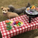 이뿌개 귀엽개 이미지