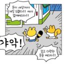 현대세차장 | 내 차 조하, ! _ 디올뉴코나 하이브리드