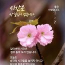 빵집아저씨 네이버블로그