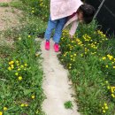 근인농장 네이버블로그