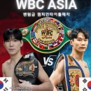 스타복싱클럽 이미지