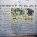 3.30 (목) : 활자결산(1)