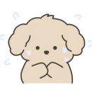 뷰티펫동물병원 이미지