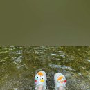 물가애 캠핑장 이미지