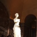 센느약국 이미지