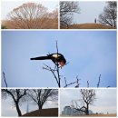 빛사냥 납회, 올림픽공원 출사후기 이미지