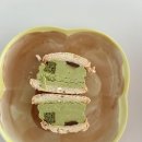 부산애견호텔 24시 강아지 유치원 미용 도그드림 서면점 이미지