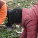 신안농장 이미지