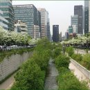 유럽근대사 이미지