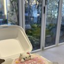 어썸라운지 | 부산 서면 칵테일무제한 어썸라운지 내돈내산 방문후기(+서면신상카페 라숲)