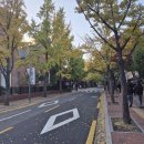 정동길 Daum카페