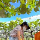 손가네 농장 이미지