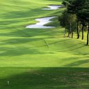 오케이 골프 이미지