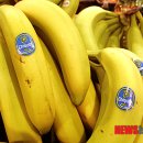 (주)바나나10 이미지