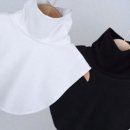 폴라 이미지