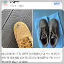 제일세탁소 | 부천 중동 신중동 명품세탁소, 비싼 내옷을 맞겨도 실패없이 안전한곳 추천