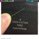 고양이 수염 이미지