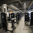 와일드짐 이미지