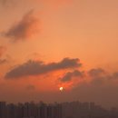 보람마트 | 부평 유진 마트 수산물 구매후기