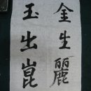 천자문 6 - 쇠금(金) 낳을생(生) 빛날려.고을려(麗) 무수(水) 구슬옥(玉) 날출(出) 메곤(困) 메강.언덕강(岡) 이미지