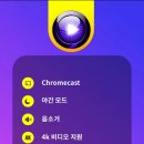 용비디오 이미지