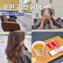 81헤어 | 권선동미용실 리셋헤어 클리닉 후기, 상한 머릿결 관리하고 왔어요