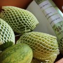 청송상회 이미지