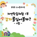 산내들유치원 이미지