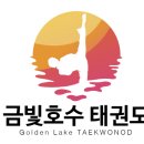 금빛호수 태권도 이미지