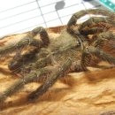 잠원역 3호선 이미지