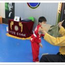 용인대 한얼 태권도 이미지