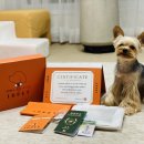 아이디펫 동물병원 이미지